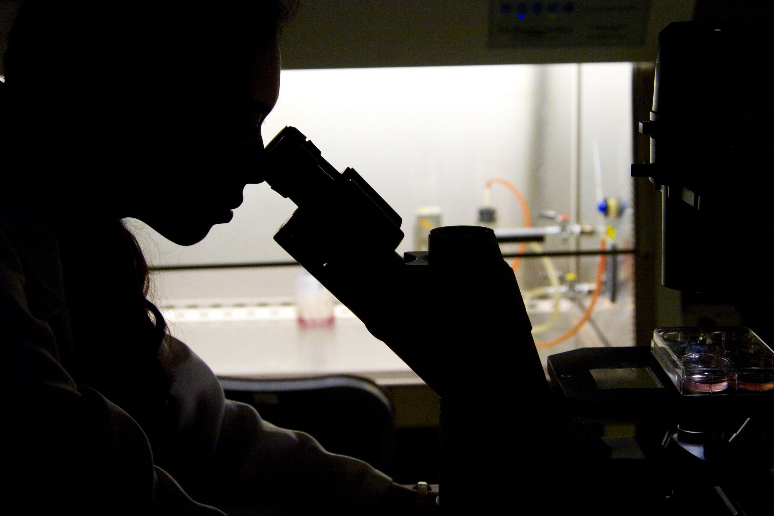 Lady looking into microscope