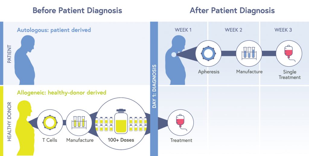 Allogeneic vs autologous