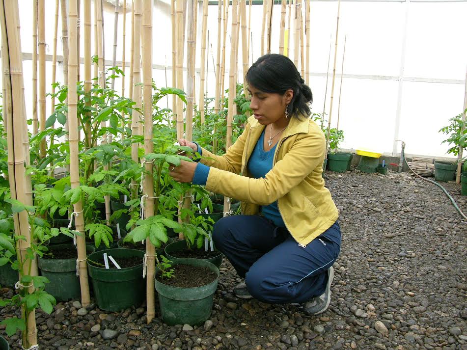 Benny Julissa Ordonez Aquino growing a plant in a greenhouse