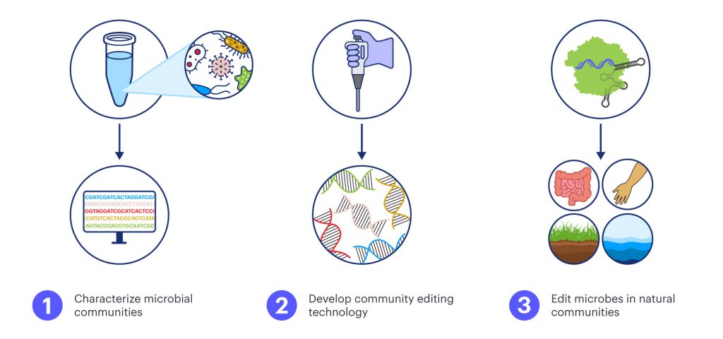 graphic shows characterizing and genome editing microbes