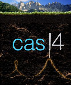 Metaphorical representation of Cas14 protein as a scalpel cutting ssDNA in soil