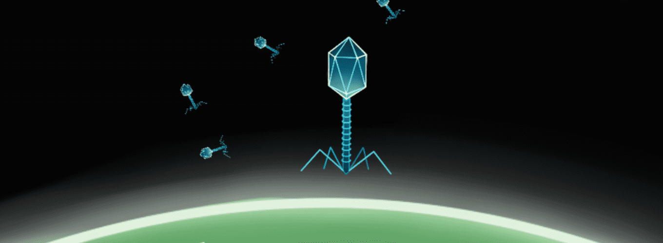 Cartoon phage landing on a green cell