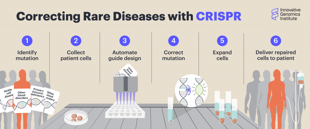 diagram shows the steps from identifying a genetic mutation to treating a patient