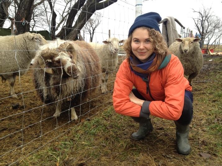 Dana Foss next to a ram