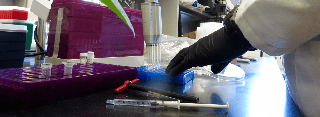 Scientist using a multi-channel pipette