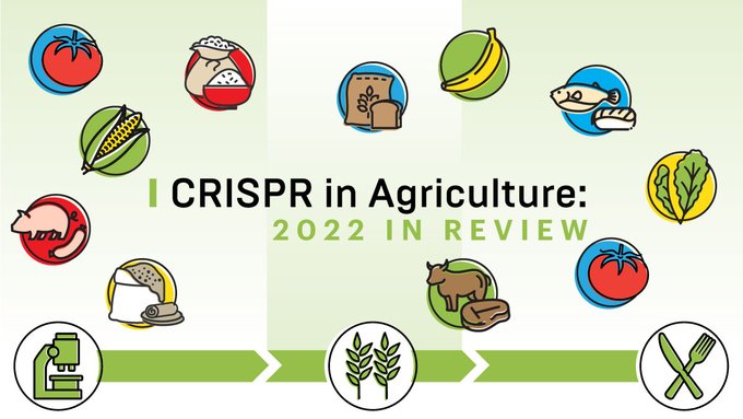 timeline with icons of different CRISPR-edited agricultural products