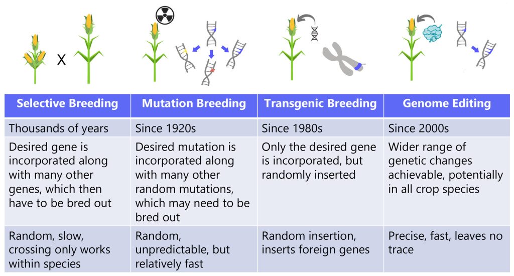 Four Revolutions of Plant Breeding