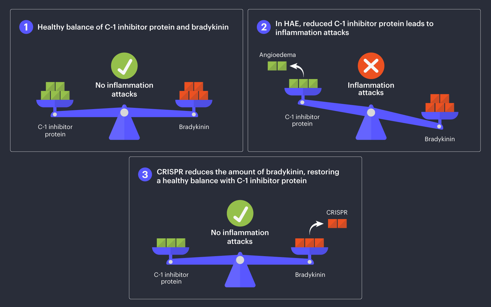 diagram shows how CRISPR could be used to treat hereditary angioedema