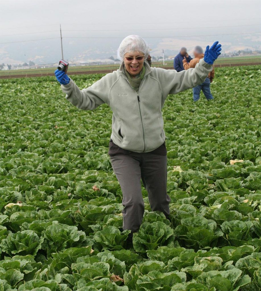 Brenda Eskenazi in the lettuce field. Currently studying COVID-19 and California farmworkers.