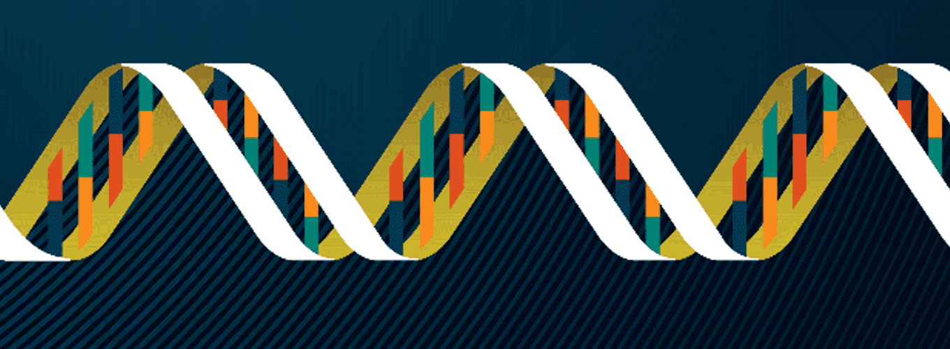 Cartoon of a DNA double helix