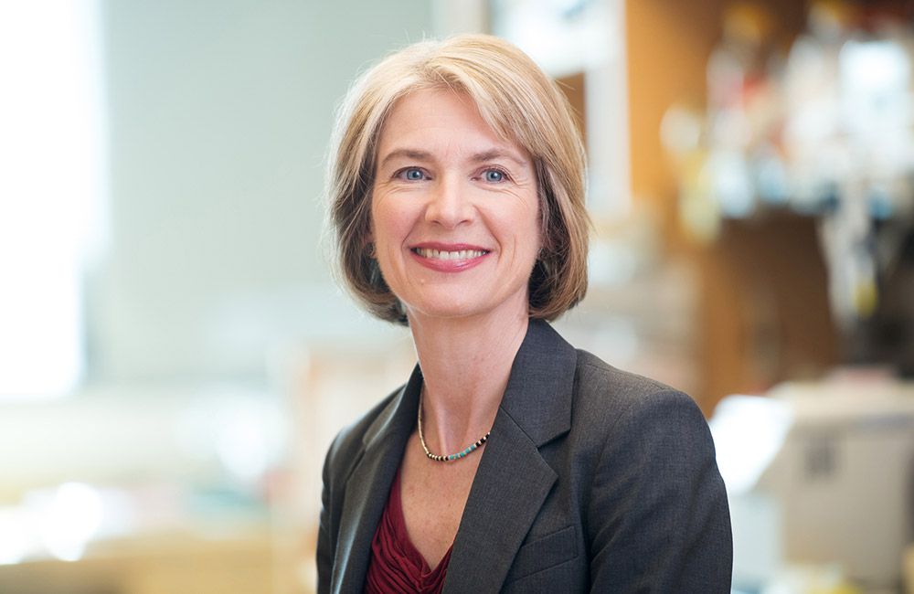 headshot of Jennifer Doudna