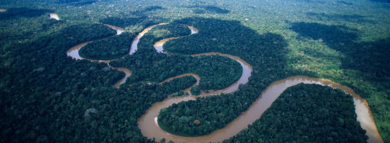 aerial photograph of a winding river going through trees