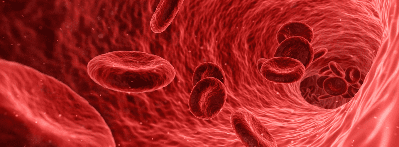 Red blood cells floating through artery