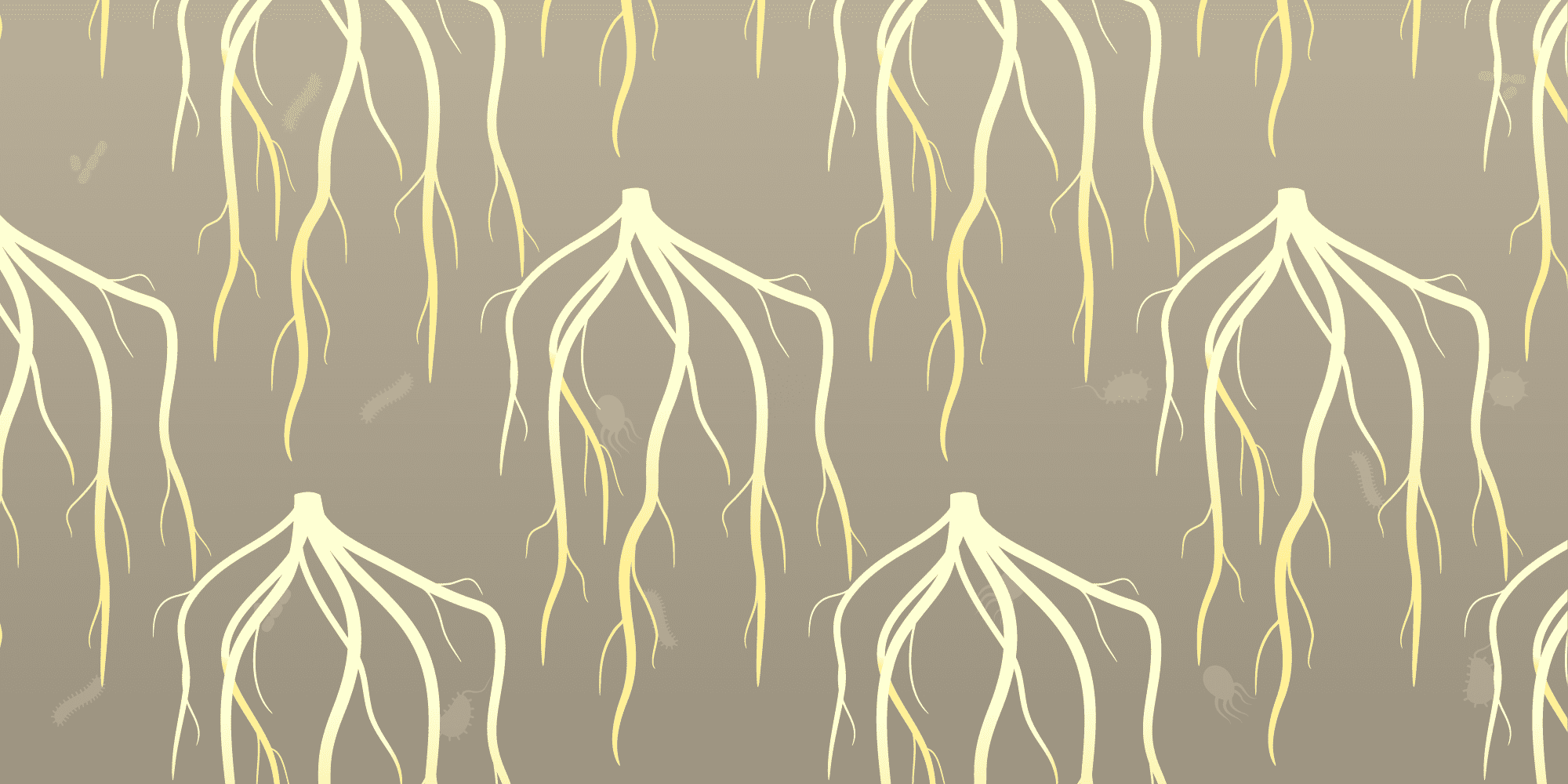 Soil microbes and plant roots