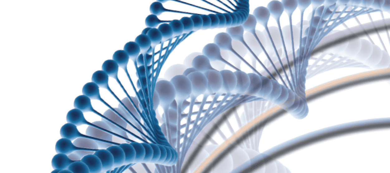 Cartoon representation of a DNA double helix