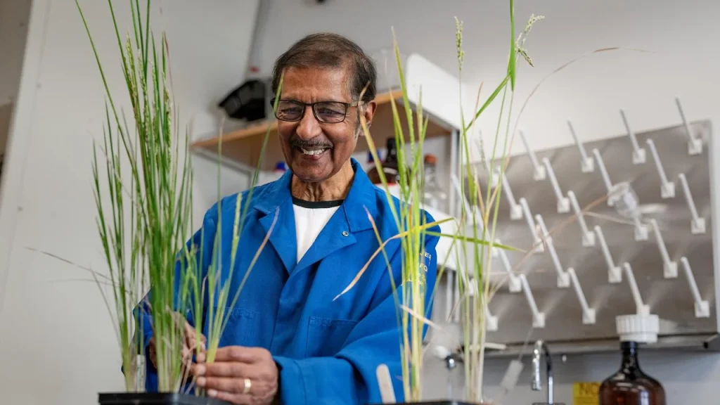 Venkatesan Sundaresan in lab