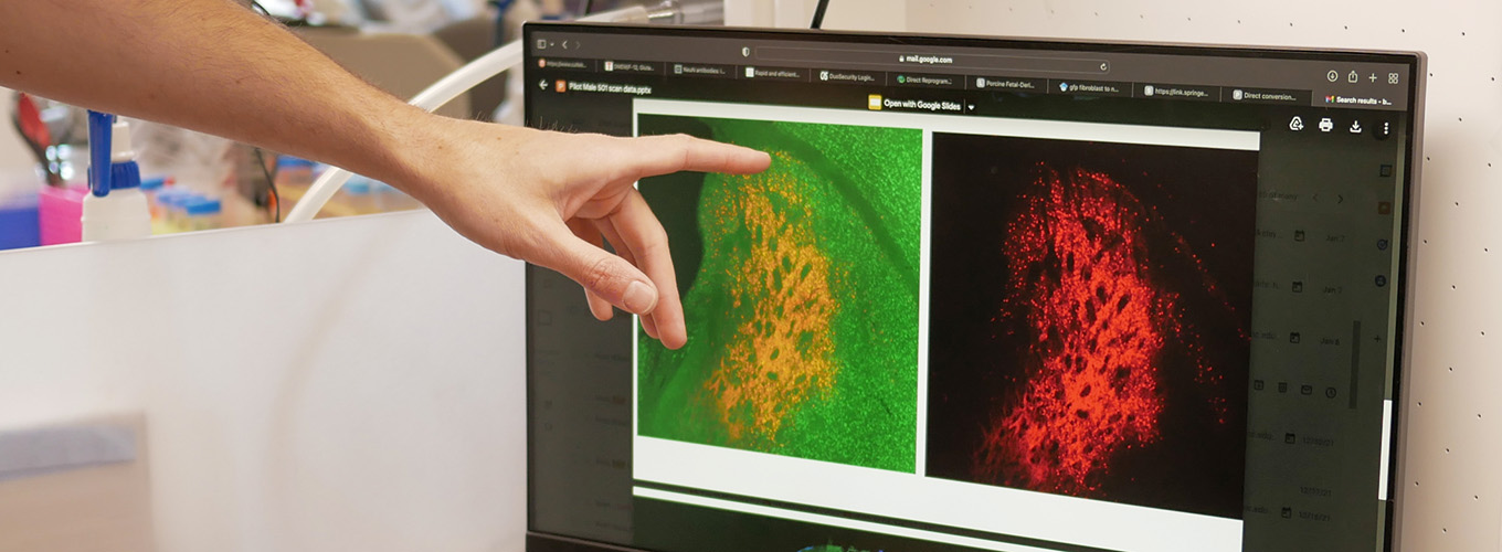 Ross Wilson points to a monitor showing genome edited cells