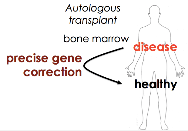 CRISPR for sickle cell