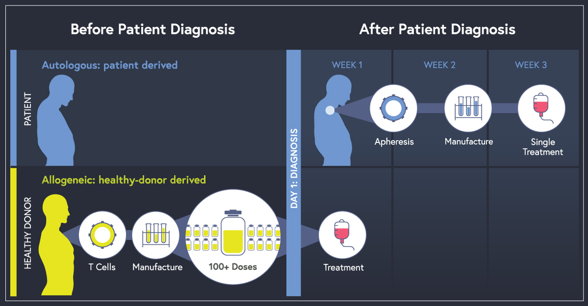 Allogeneic vs autologous