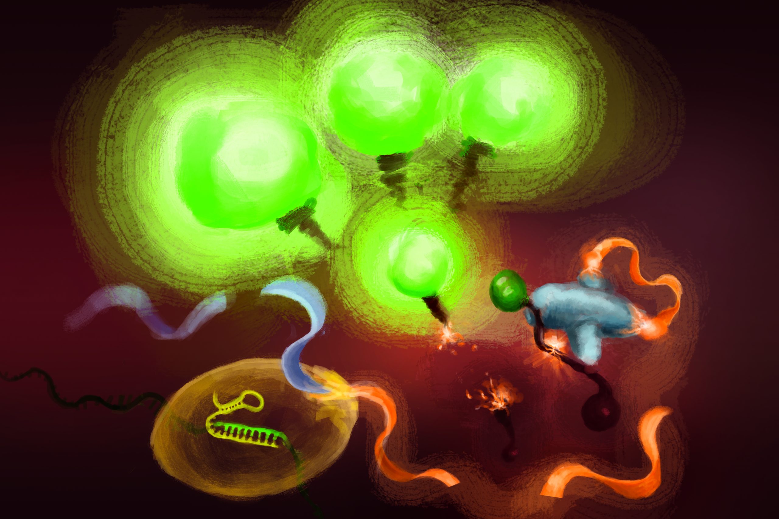 illustration shows RNA being cut by CRISPR enzymes and bright green light emitted