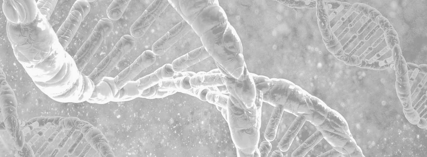 An artist's rendering of the DNA double helix in light greyscale