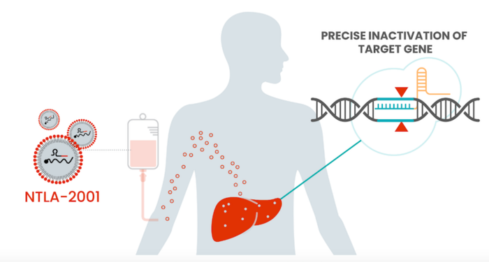 Diagram of lipid nanoparticles being administered by IV and travelling to the liver