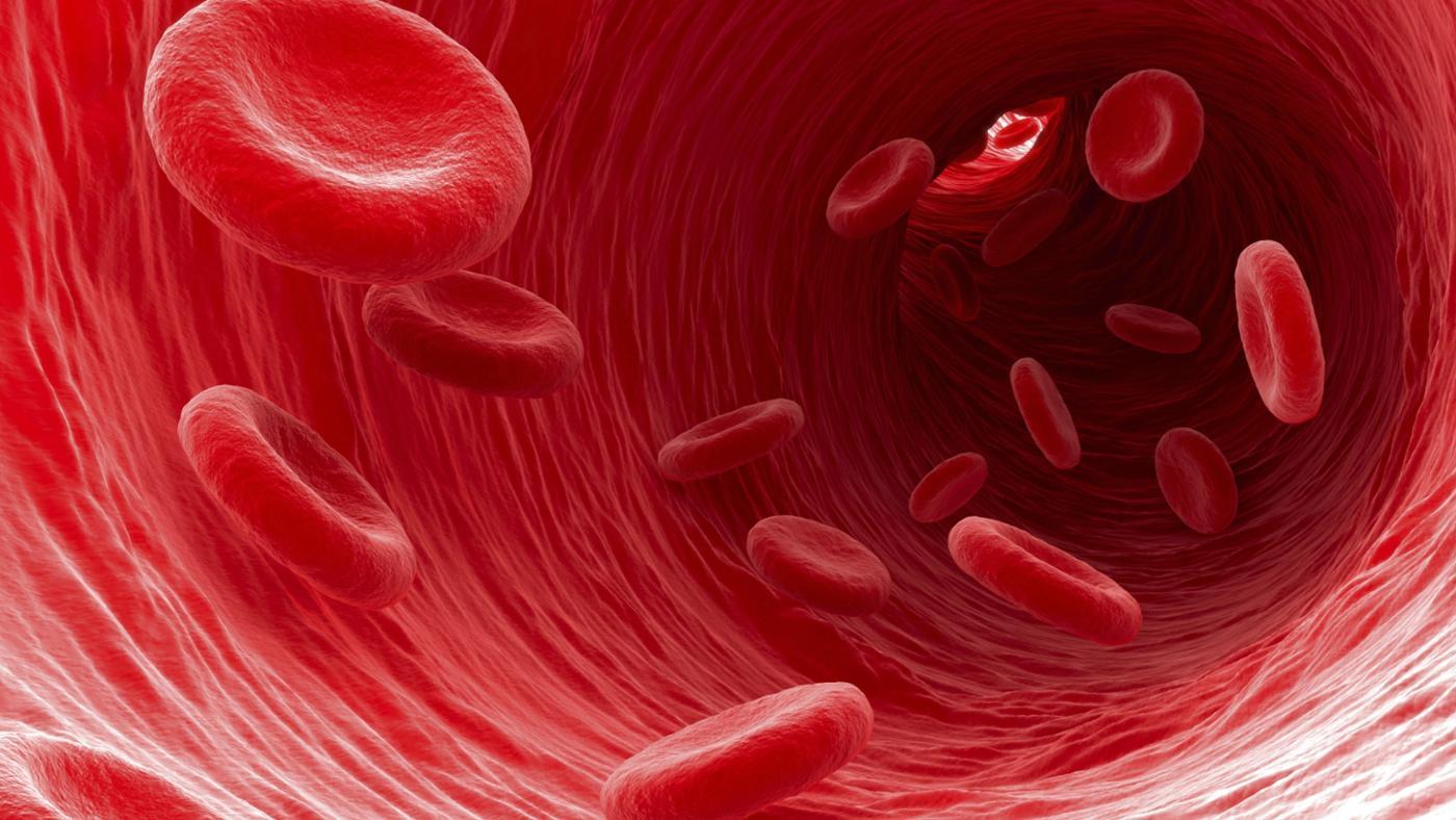 Flowing red blood cells