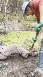 Jill Banfield digging Rohan out of a bog with a shovel