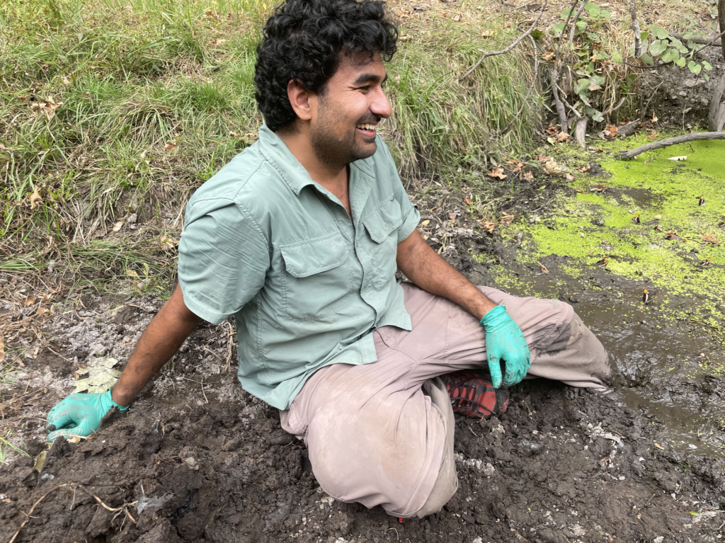 Rohan stuck in a bog