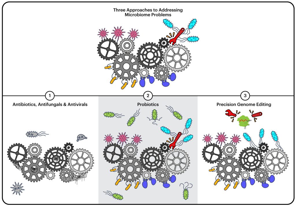 Three Approaches to Addressing Microbiome Problems