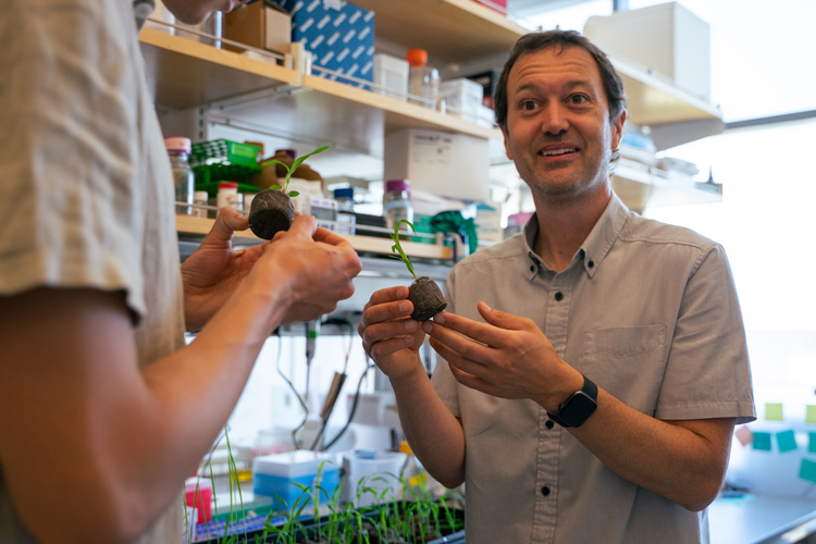 Dave Savage with a plantlet