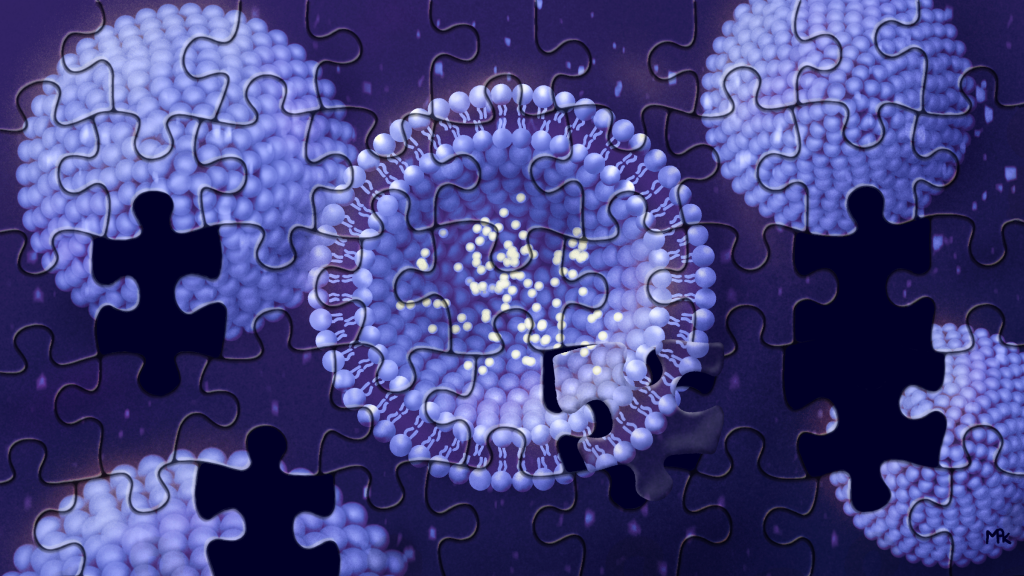 liposome jigsaw puzzle