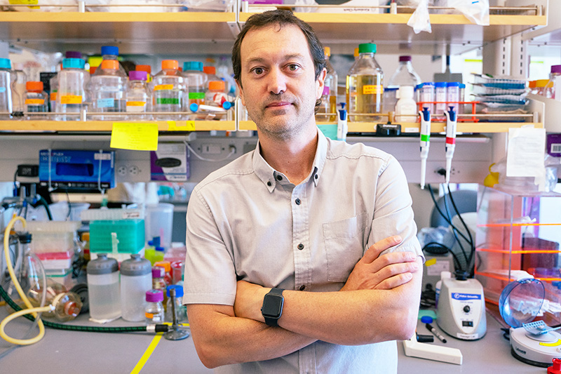 Dave Savage in his lab at the IGI building in Berkeley