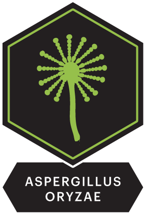 Aspergillus icon