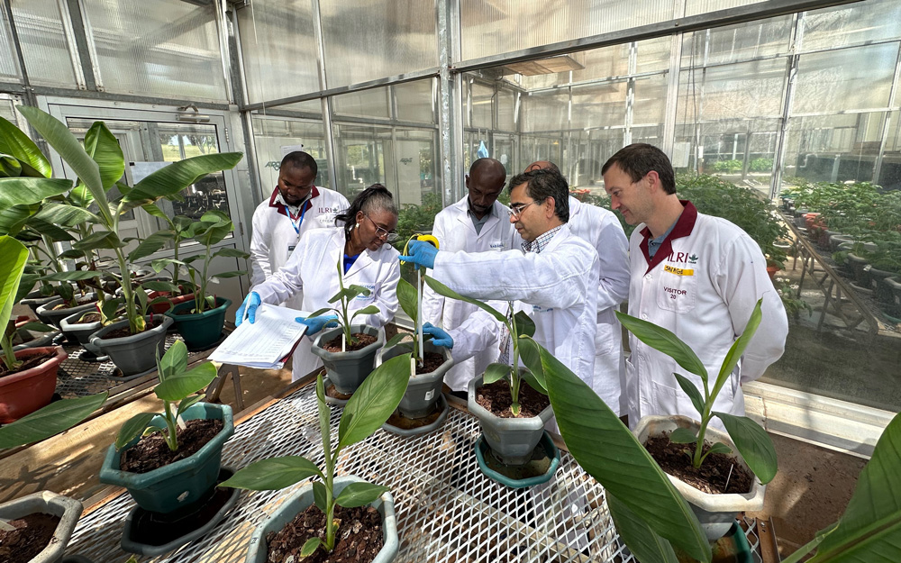 Kenya course participants and instructors working together in the greenhouse