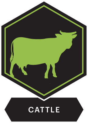 cattle icon