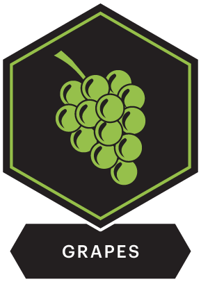 grapes icon