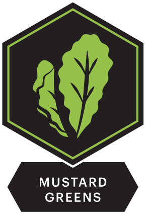 Mustard Greens