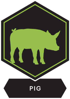 Pig icon